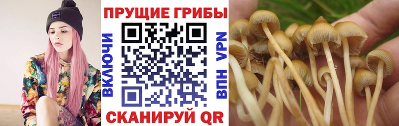 Галлюциногенные грибы ЛСД  Калач-на-Дону 