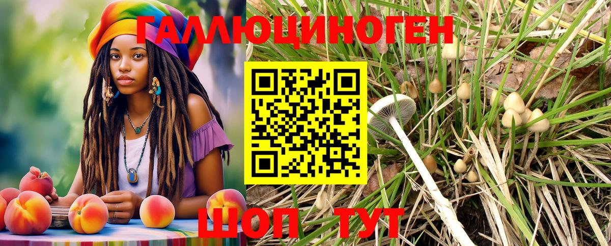 закладки  Галлюциногенные грибы Cubensis  Галлюциногенные грибы Psilocybe  Вход с VPN  Калач-на-Дону 